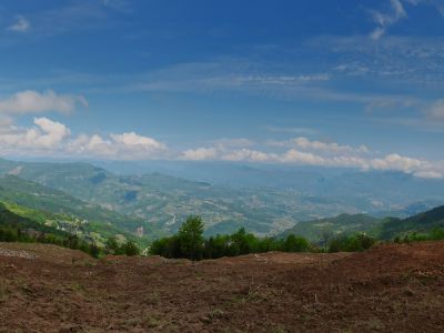 ������ɽ���Ӵ�����