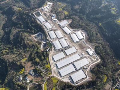 �ϳ����л���������