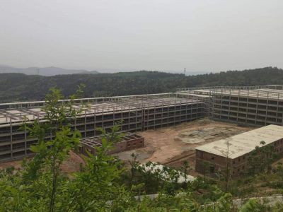 ��Ԫ��ţ������